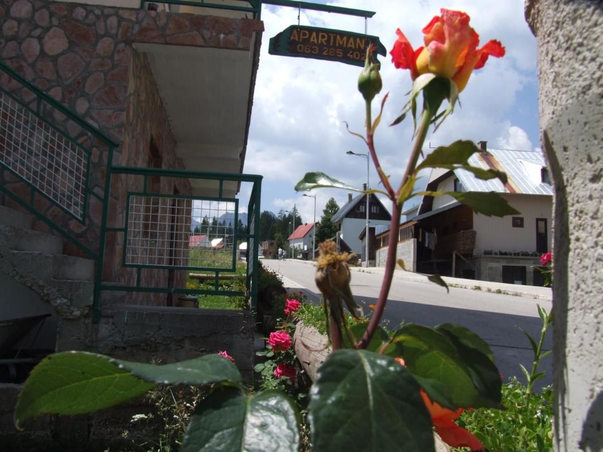 Гостевой дом Šćekić Accommodation Жабляк-25