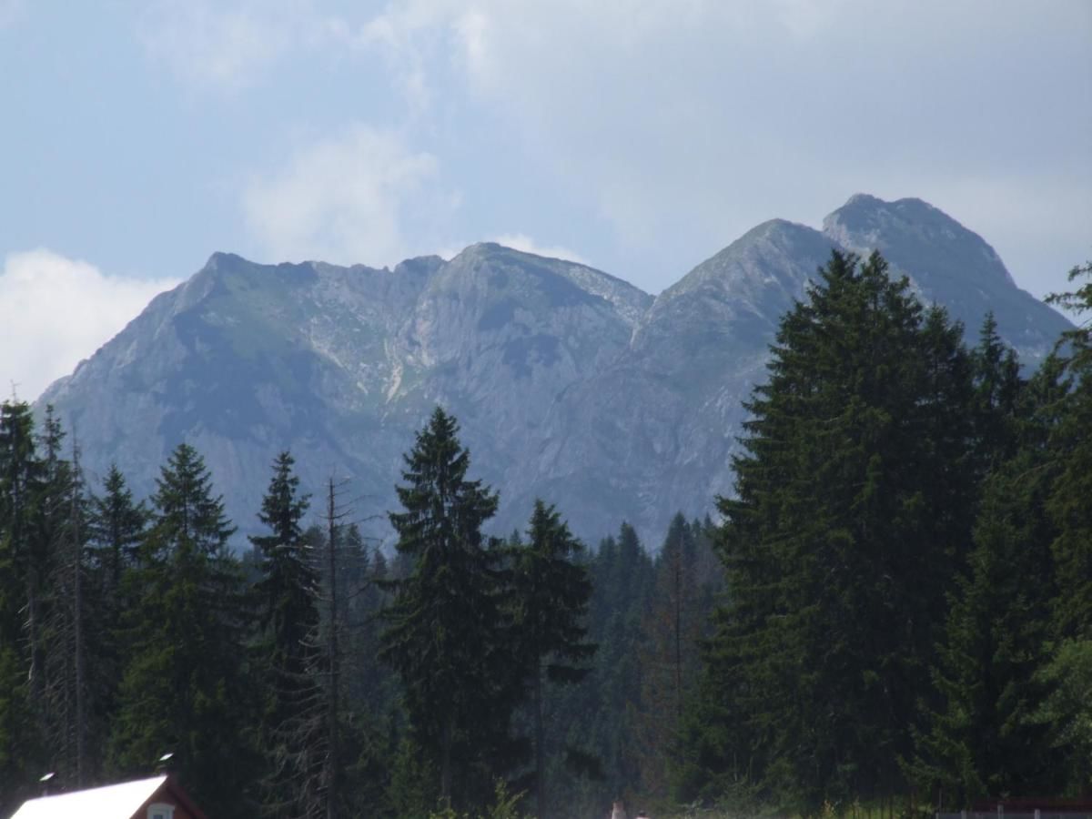 Гостевой дом Šćekić Accommodation Жабляк-26