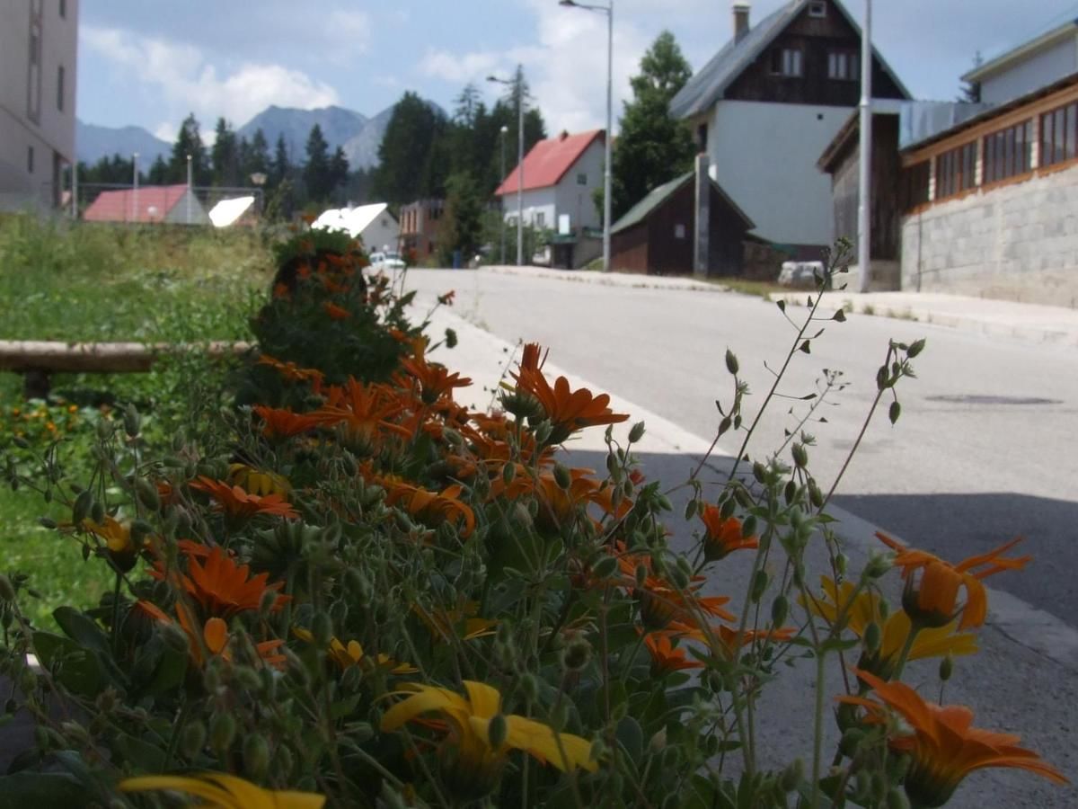 Гостевой дом Šćekić Accommodation Жабляк-31