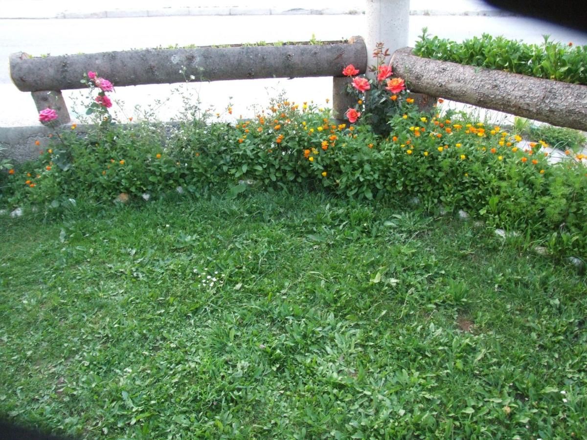 Гостевой дом Šćekić Accommodation Жабляк-35