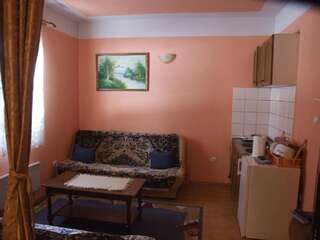 Гостевой дом Šćekić Accommodation Жабляк Апартаменты-7