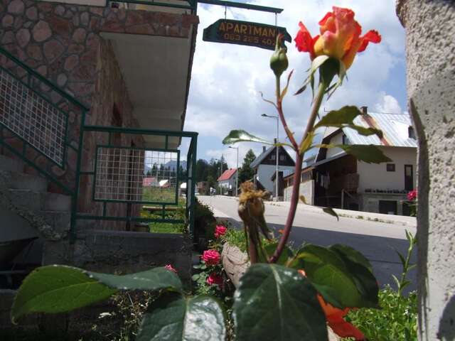 Гостевой дом Šćekić Accommodation Жабляк-24